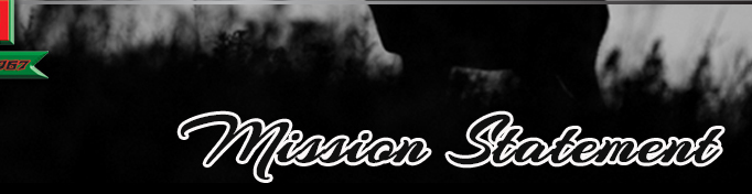 Mission Statement